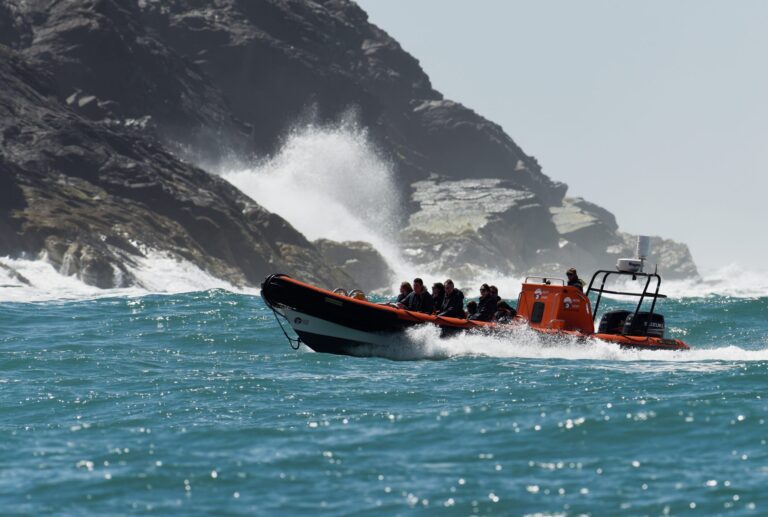 padstow speedboat trips