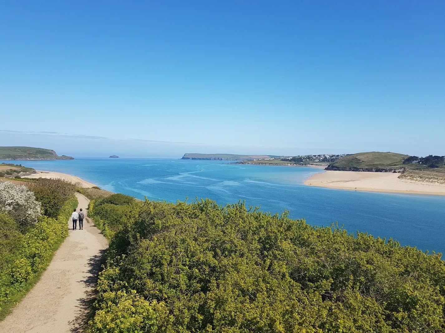 Padstow cam & Tide Times Padstow Sealife Safaris